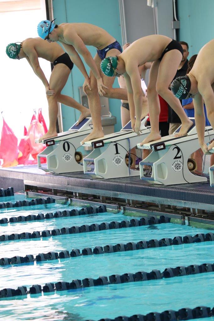 Swimming & Diving Rattler Sports