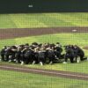 Rattlers Rally Late to Take Down Brandeis, 7–5